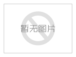 壓濾機(jī)入料泵電機(jī)發(fā)出異常的響聲怎么辦
